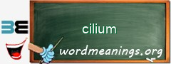 WordMeaning blackboard for cilium